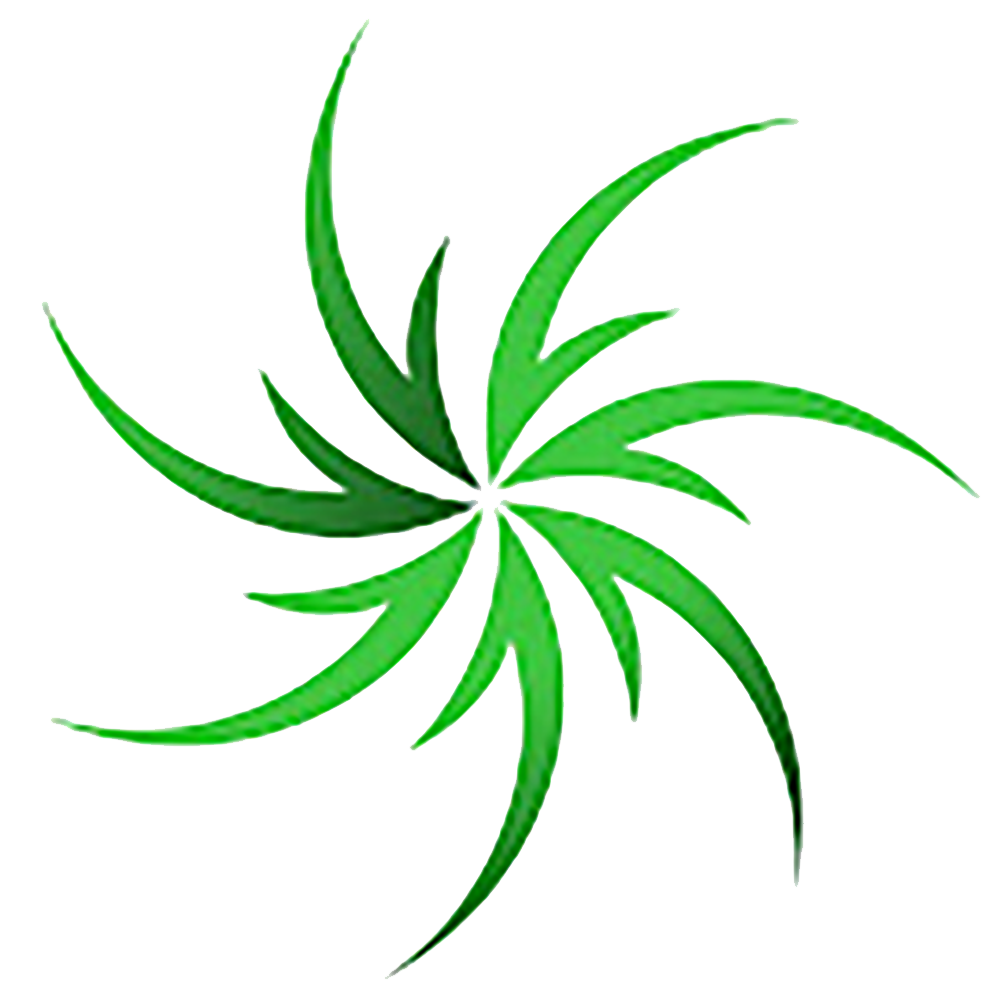 PT EMJEBE PHARMA